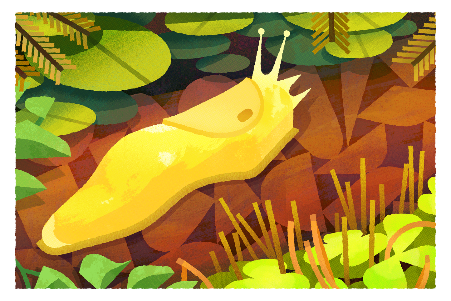 Banana Slug Print