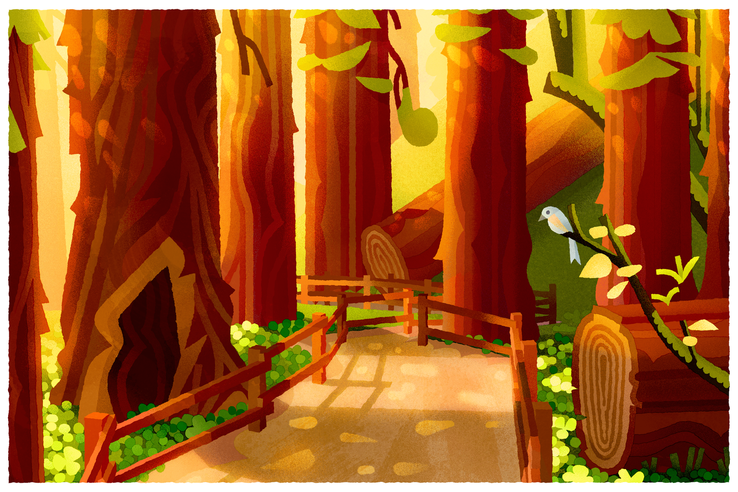 Muir Woods art print