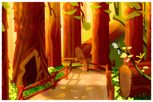 Muir Woods art print